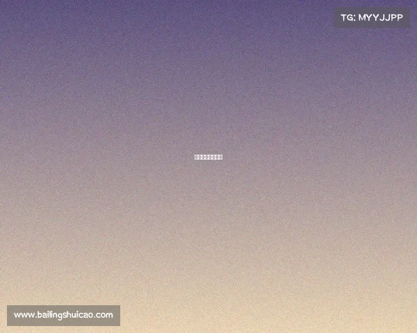 高新电子有限公司